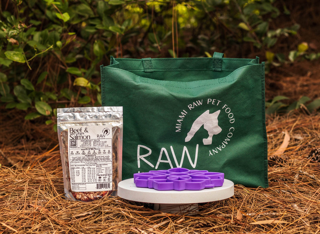 Raw Beef & Wild-Caught Salmon Meal Blend for Cats & Dogs — Prey Model Raw | Raw Instincts Florida