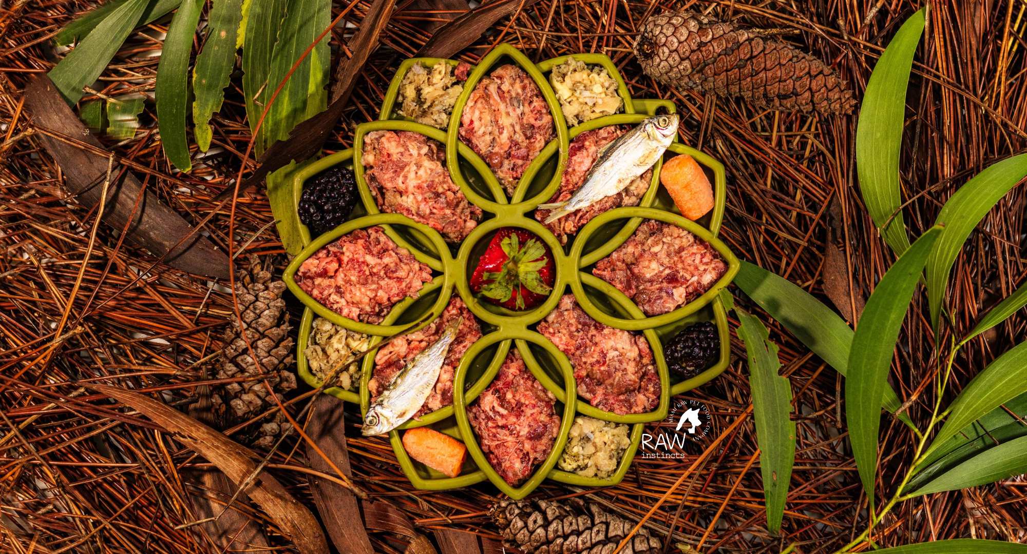 Raw Beef & Wild-Caught Salmon Meal Blend for Cats & Dogs — Prey Model Raw | Raw Instincts Florida